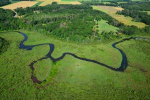 creek, marsh, field, forest